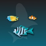 Shark Jam