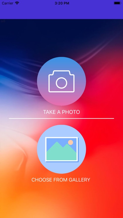 Macho Man Photo & Video Editor