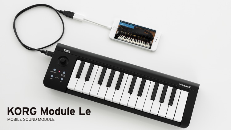 KORG Module Le