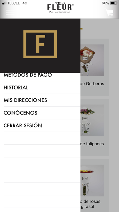 Fleur México screenshot 2