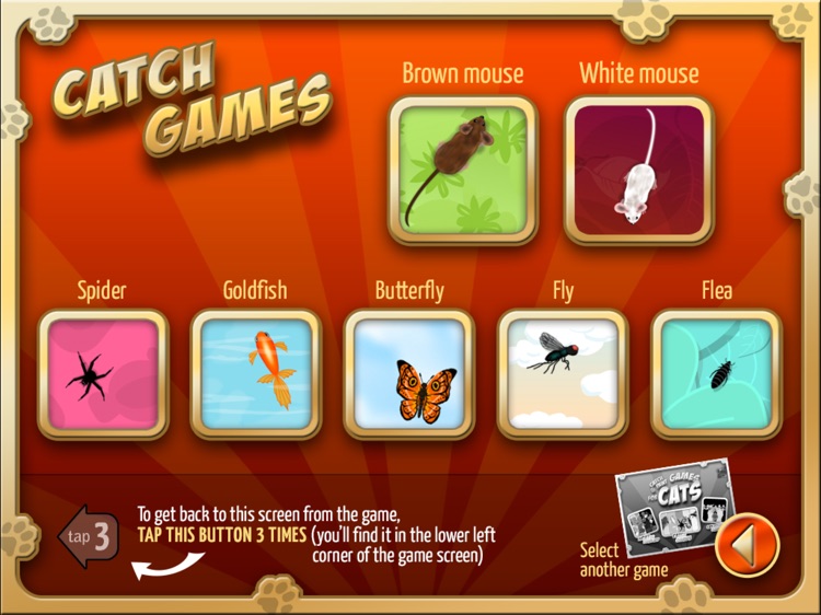 Catch The Mouse Cat Game by Martine Carlsen