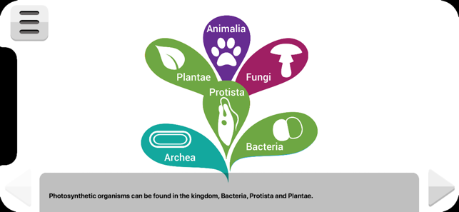 Biology Photosynthesis Pro(圖3)-速報App