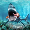 Icon White Shark Sim : Great Attack