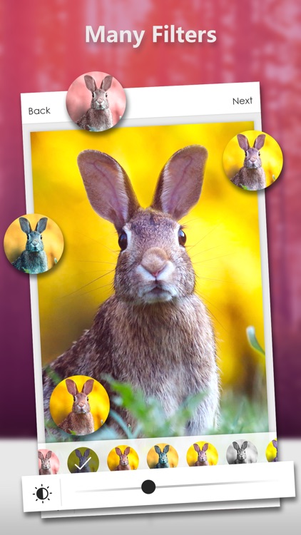 DSLR Camera - Blur Photos Make screenshot-5