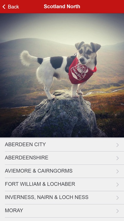 Dugs n' Pubs screenshot-4