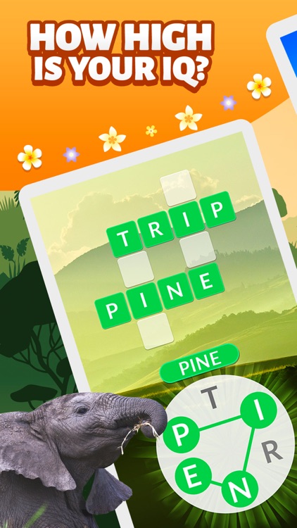 Words and Animals - Crosswords