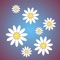 Instantly generate lots of movable decorative daisies and then arrange them into pleasing designs (scenes)