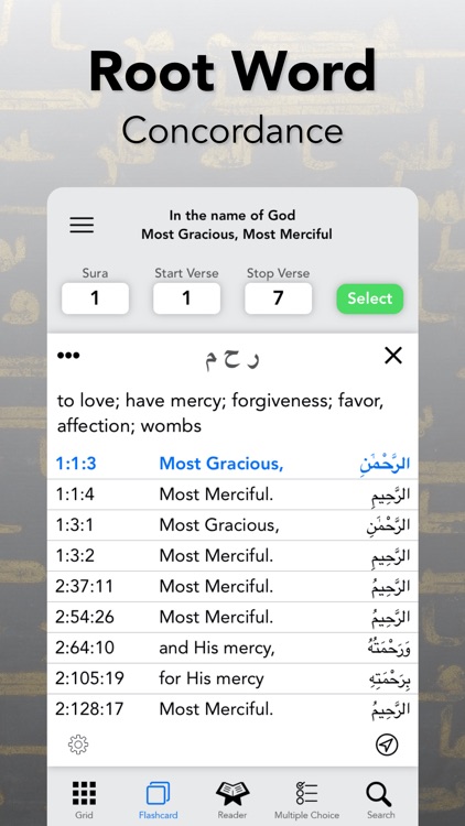 Quran Study – Word by Word