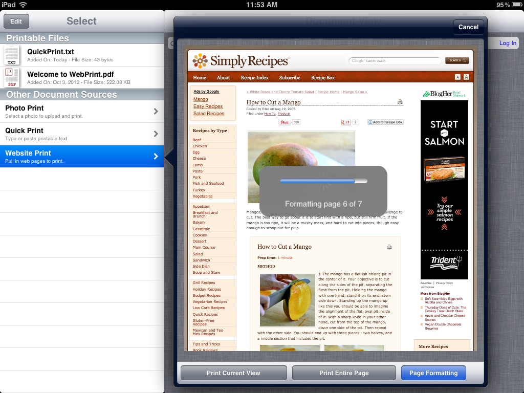 WebPrint for Print Manager screenshot 4