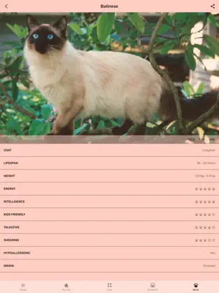 Imágen 6 Cat App - Meowly Cats iphone