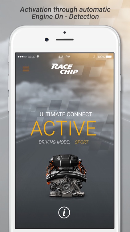 RaceChip