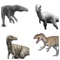 Guess 165 breeds of dinosaur species: from Tyrannosaurus rex (T-Rex) and Diplodocus  to Segisaurus and Spinosaurus