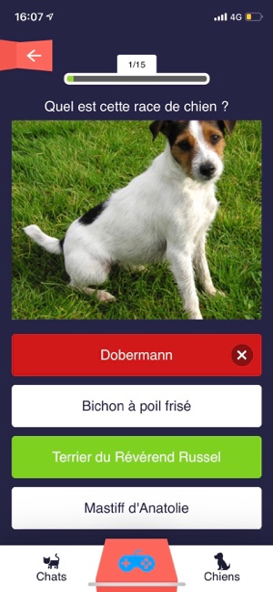 Chats Chiens Races Et Quiz On The App Store