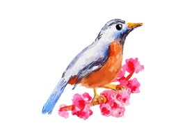 Water Color Birds