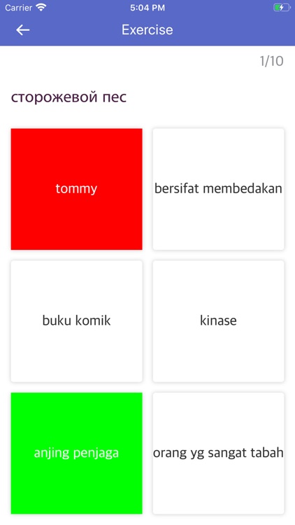 Indonesian-Russian Dictionary screenshot-3