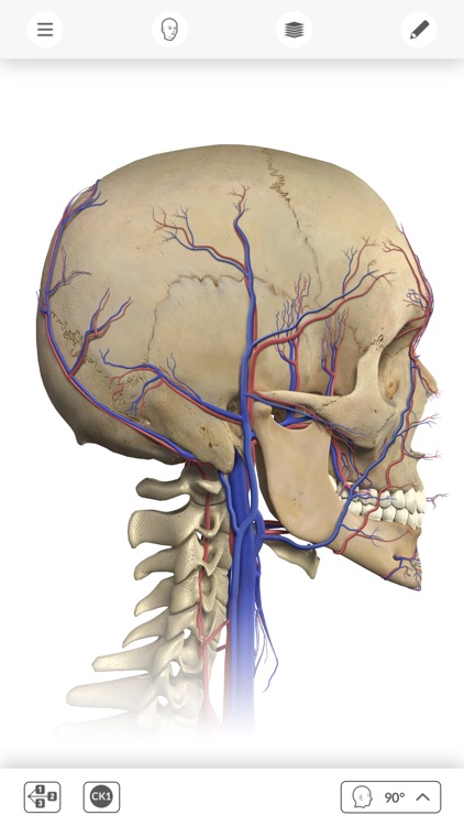 Interactive Anatomy - SG screenshot-3