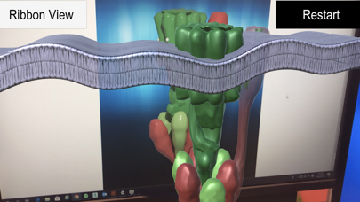 ATP Synthase [AR] screenshot 2