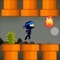 Help the Ninja to fly and run in the different worlds