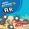 The Hardworking Ants AR
