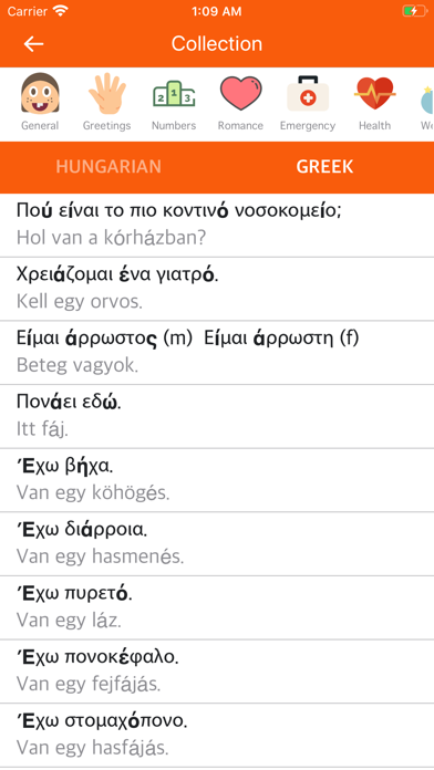 Hungarian Greek Dictionary screenshot 2