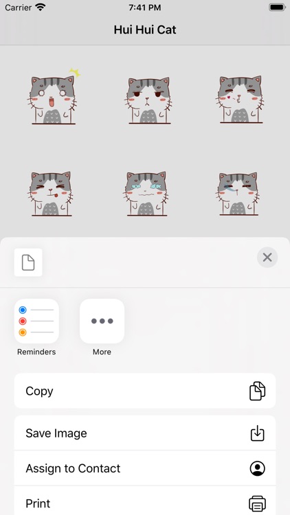 Hui Hui Cat