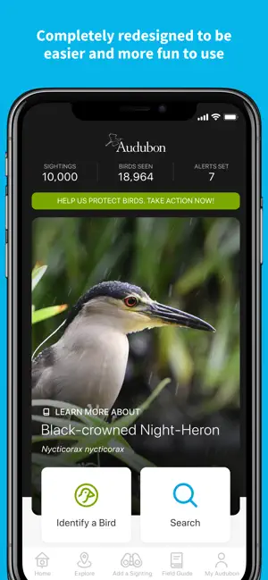 Captura de Pantalla 1 Audubon Bird Guide iphone