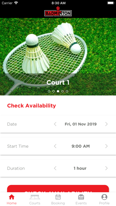Badminton Arena screenshot 2
