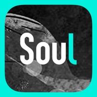 Soul-跟随灵魂找到你 app not working? crashes or has problems?
