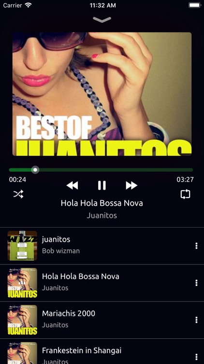 Music Downloader & Player