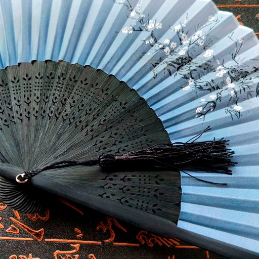 Hand Fans Art Studio