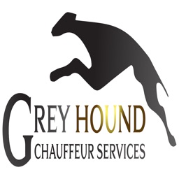 Greyhound Passenger