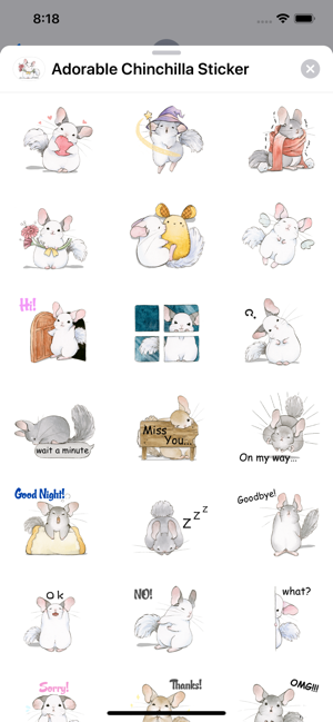 Adorable Chinchilla Sticker(圖2)-速報App