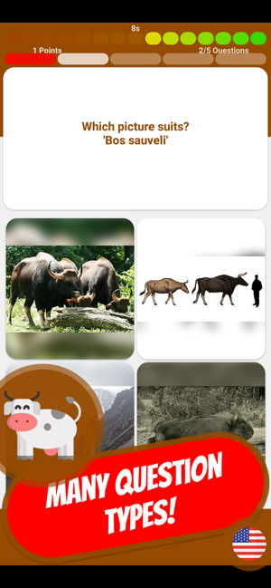 COW & BOVINE Quiz(圖9)-速報App