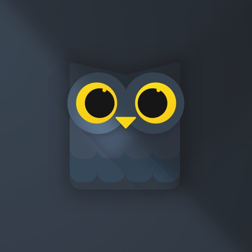 Lexico: A Dyslexia Reading Aid