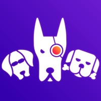 Статистика и гости для ВК pour PC