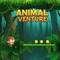 It's Animal Venture Game