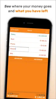 fudget: budget planner tracker iphone screenshot 3