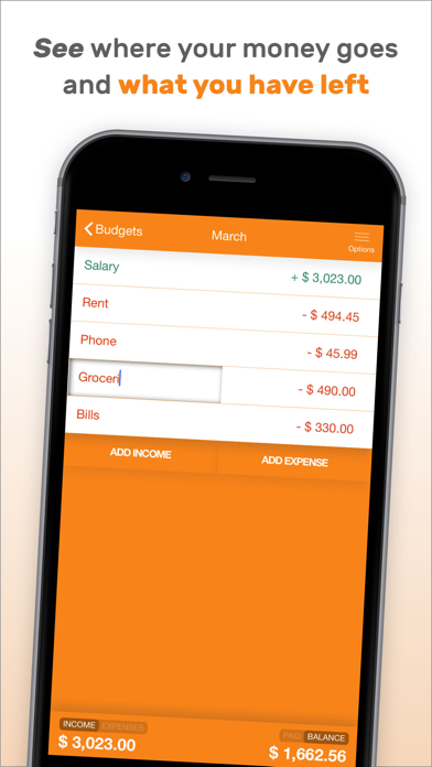 How to cancel & delete Fudget: Budget Planner Tracker from iphone & ipad 3