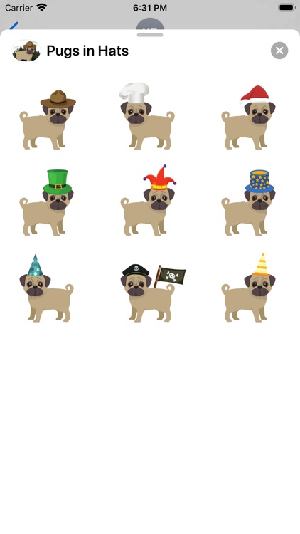 Pugs in Hats