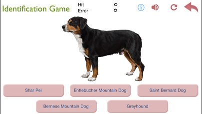 Dogs - Identification Guideのおすすめ画像5