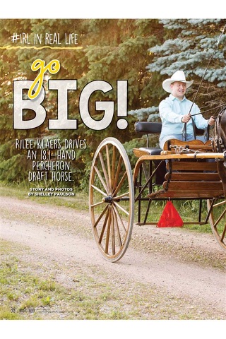 Young Rider Magazine - náhled