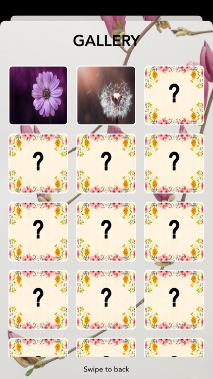 Find a pair of Flowers screenshot-4