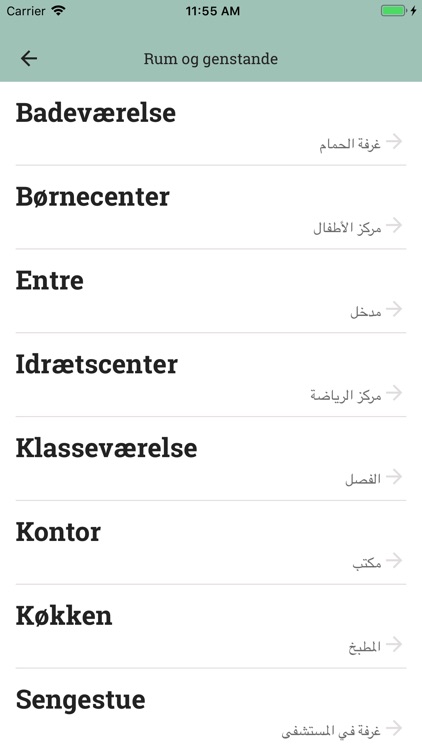 Rengøringsordbog screenshot-3