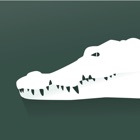 Crocodile, Alligator, Gharial