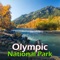 Olympic National Park Travel Guide has all the information you’ll need to know before you go, local time, weather, how to get there, when to go, where to camp or stay, what to do, what to see, and so much more