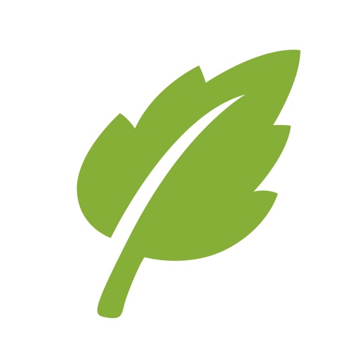 VPN - SGreen VPN