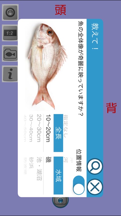 教えて!魚 screenshot-3