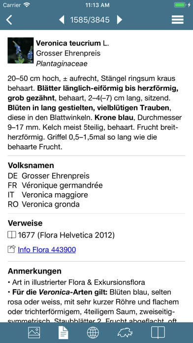 How to cancel & delete Flora Helvetica Mini deutsch from iphone & ipad 4