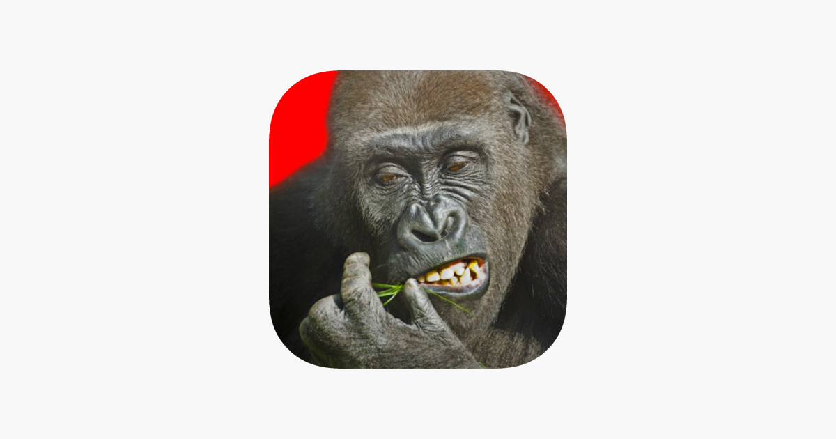 Flying Gorilla On The App Store - john roblox gorilla