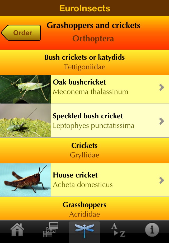 EuroInsects screenshot 3